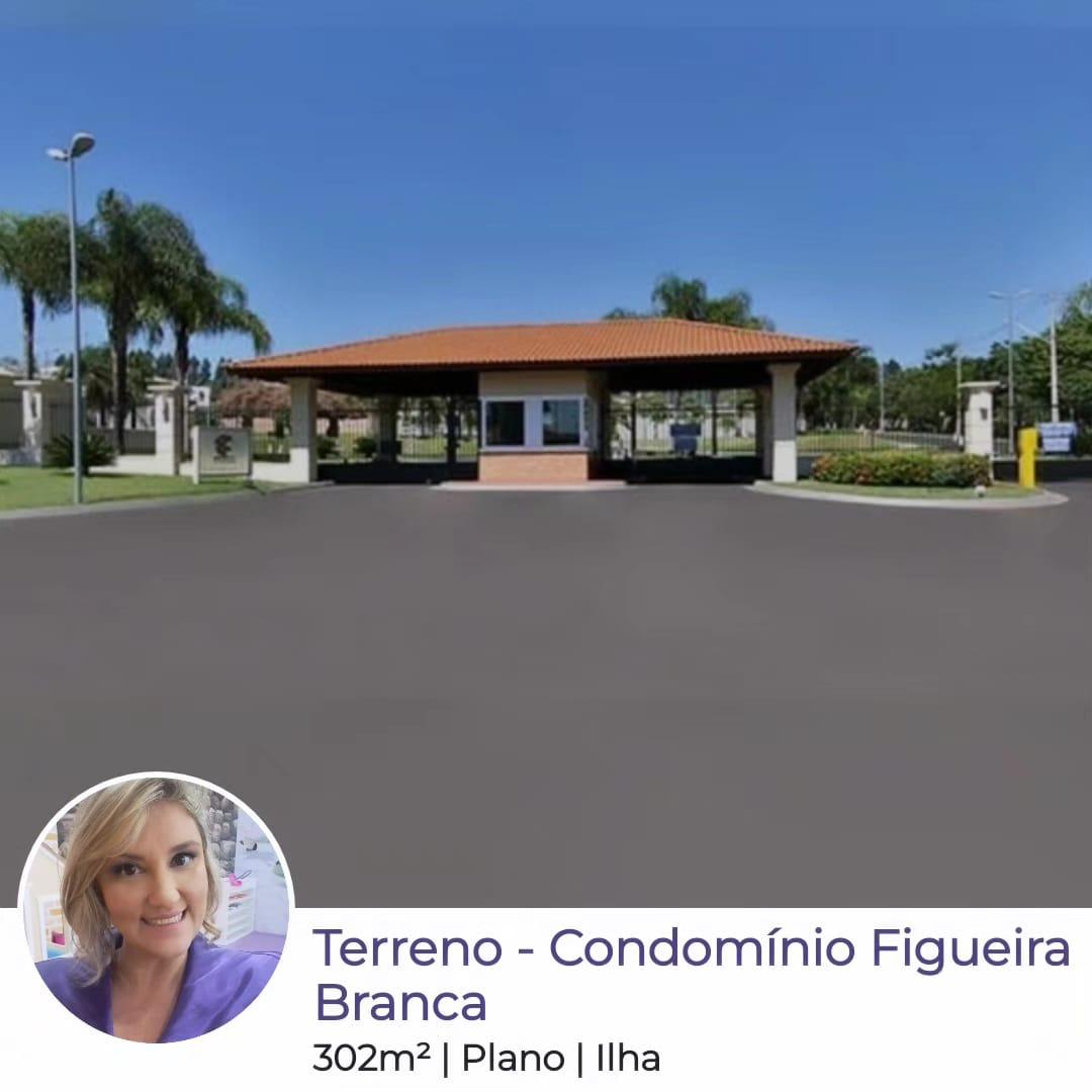 Terreno em Condomínio à venda, no Condomínio Figueira Branca,  em Ribeirão Preto, Recreio das Acacias, 302m² - Glaucia Afonso Imóveis