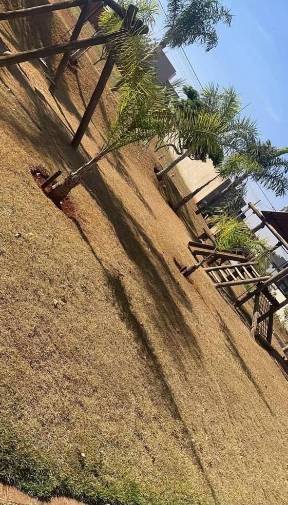 Terreno em Condomínio à venda, no San Tiago - Terras de Bonfim,  em Ribeirão Preto, Bonfim Paulista, 277,55m² - Glaucia Afonso Imóveis